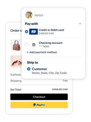 PayPal checkout options shown paying for a bag and shoes
